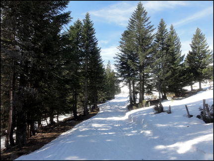 dh---skis-alta-hok--prat-de-bouc 13274345414 o