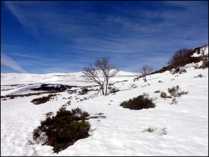 dh---skis-alta-hok--prat-de-bouc 13273928974 o