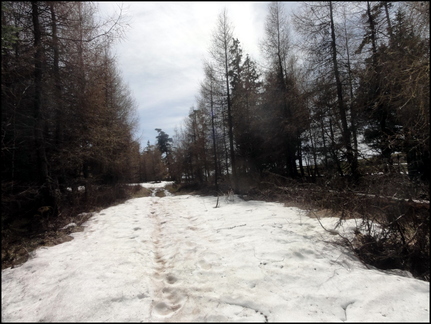 dh---2-avril-2014---au-bois-des-fraux 13802039804 o