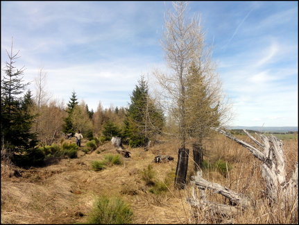 dh---2-avril-2014---au-bois-des-fraux 13801904384 o