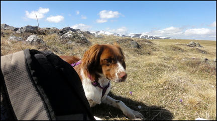 dh---8-avril-2014---hauts-plateaux-aprs-lescure 13802404695 o