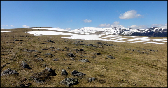 dh---8-avril-2014---hauts-plateaux-aprs-lescure 13802095303 o