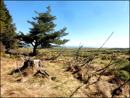 dh---9-avril-2014---bois-des-fraux 13803666963 o