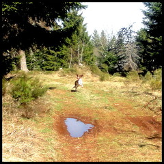 dh---9-avril-2014---bois-des-fraux 13803468365 o