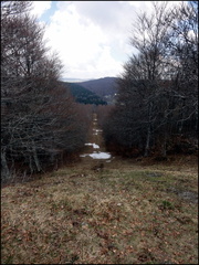 dh-12-avril-2014---brameloup--aubrac 13820319074 o
