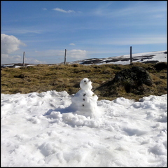 dh--encore-un-peu-de-neige-je-grimpe-l-haut- 13829299655 o