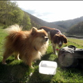 dh---la-truyre--lanau 13915084184 o