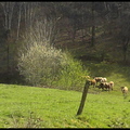 dh---la-truyre--lanau 13891514621 o
