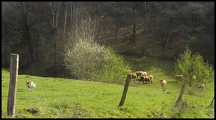 dh---la-truyre--lanau 13891514621 o