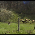 dh---la-truyre--lanau 13915044404 o