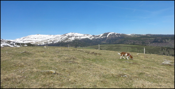 dh---le-matin-sur-nos-montagnes 13915750573 o