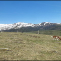 dh---le-matin-sur-nos-montagnes 13915750573 o
