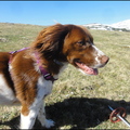 dh---le-matin-sur-nos-montagnes 13892562806 o