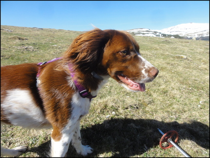 dh---le-matin-sur-nos-montagnes 13892562806 o