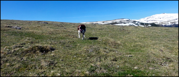 dh---le-matin-sur-nos-montagnes 13915637625 o