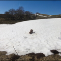dh---le-matin-sur-nos-montagnes 13892467941 o