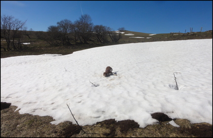 dh---le-matin-sur-nos-montagnes 13892467941 o