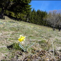 dh---le-matin-sur-nos-montagnes 13892366922 o