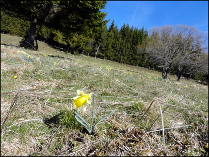 dh---le-matin-sur-nos-montagnes 13892366922 o