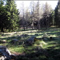 samedi--la-clairire-au-bois-des-fraux 13930389496 o