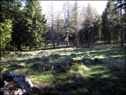samedi--la-clairire-au-bois-des-fraux 13930389496 o