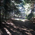 samedi--la-clairire-au-bois-des-fraux 13930303466 o