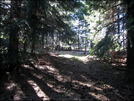 samedi--la-clairire-au-bois-des-fraux 13930303466 o