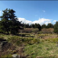 samedi--la-clairire-au-bois-des-fraux 13953397463 o