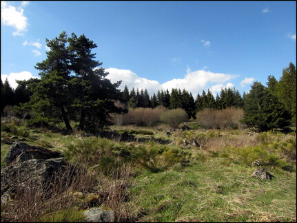 samedi--la-clairire-au-bois-des-fraux 13953397463 o