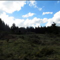 samedi--la-clairire-au-bois-des-fraux 13930168616 o
