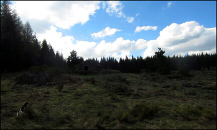 samedi--la-clairire-au-bois-des-fraux 13930168616 o