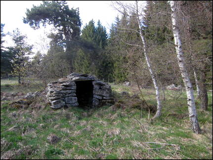 samedi--la-clairire-au-bois-des-fraux 13953187135 o