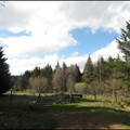 samedi--la-clairire-au-bois-des-fraux 13953144565 o