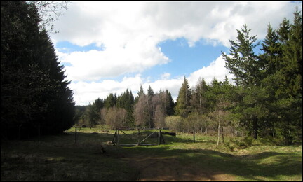 samedi--la-clairire-au-bois-des-fraux 13953144565 o