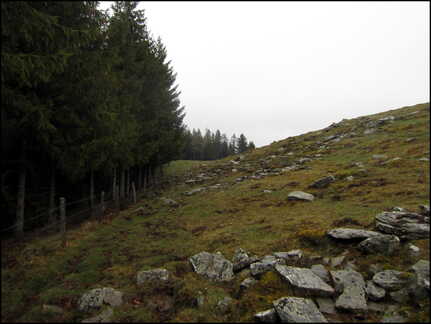 balade-du-lundi-sous-la-pluie-aux-bois-du-ch 13930962052 o