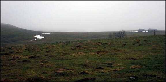 balade-du-lundi-sous-la-pluie-aux-bois-du-ch 13930943011 o