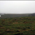 balade-du-lundi-sous-la-pluie-aux-bois-du-ch 13930943011 o