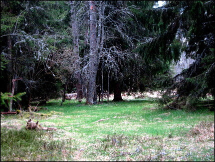 jeudi-aprs-midi-14-avril-au-bois-des-fraux 14016638713 o