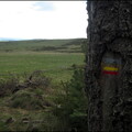 jeudi-aprs-midi-14-avril-au-bois-des-fraux 13993366982 o
