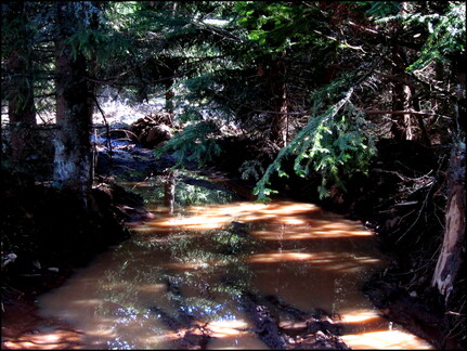 jeudi-aprs-midi-14-avril-au-bois-des-fraux 13993316392 o