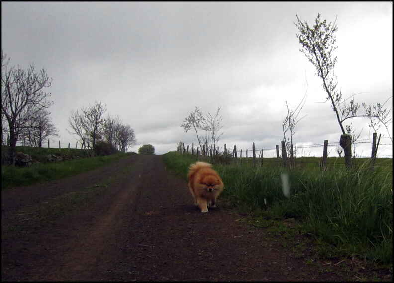 dh---week-end-sous-les-pluies_14039445615_o.jpg