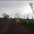 dh---week-end-sous-les-pluies 14039445615 o