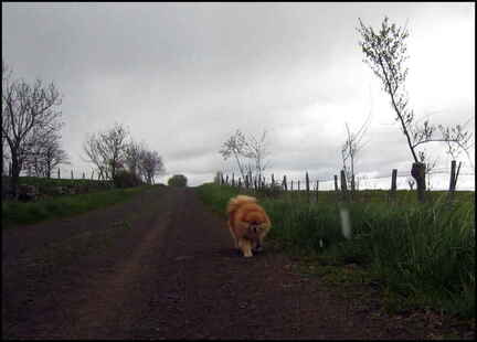 dh---week-end-sous-les-pluies 14039445615 o
