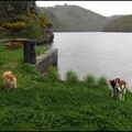 dh---week-end-sous-les-pluies 14036169081 o