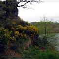 dh---week-end-sous-les-pluies 14016208416 o