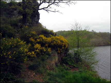 dh---week-end-sous-les-pluies 14016208416 o