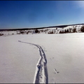 dh---31-janvier-2014 12498805793 o