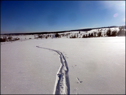 dh---31-janvier-2014 12498805793 o