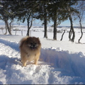 dh---31-janvier-2014 12498287235 o