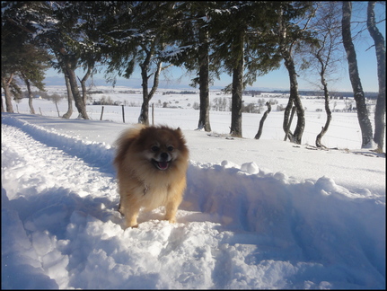 dh---31-janvier-2014 12498287235 o